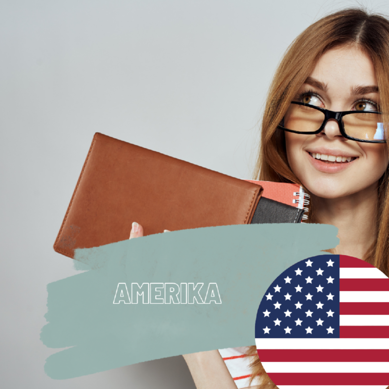 Amerika üniversite eğitimi